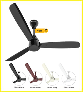 best ceiling fan