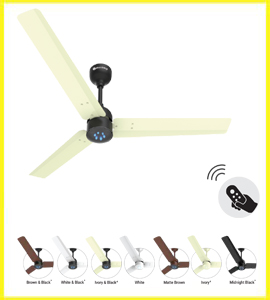 best ceiling fan